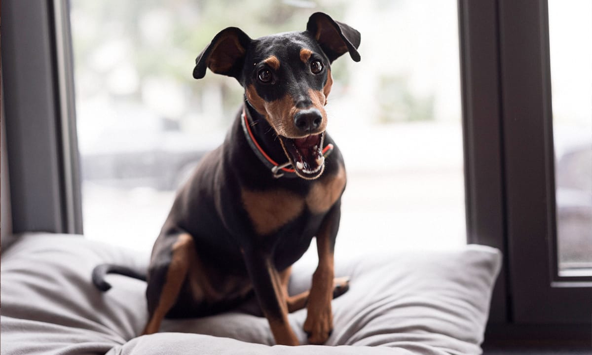 Bilder Team 1000x720px 3