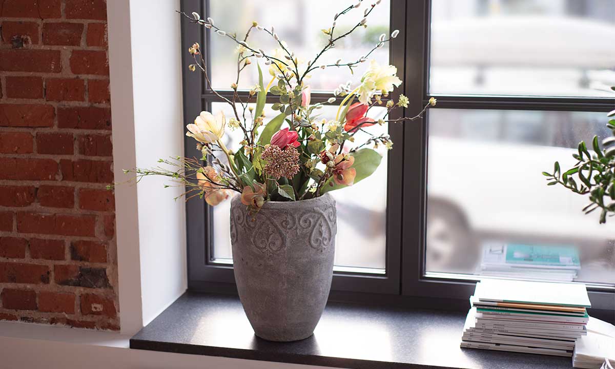 Zahnform Bilder 900x540px 2